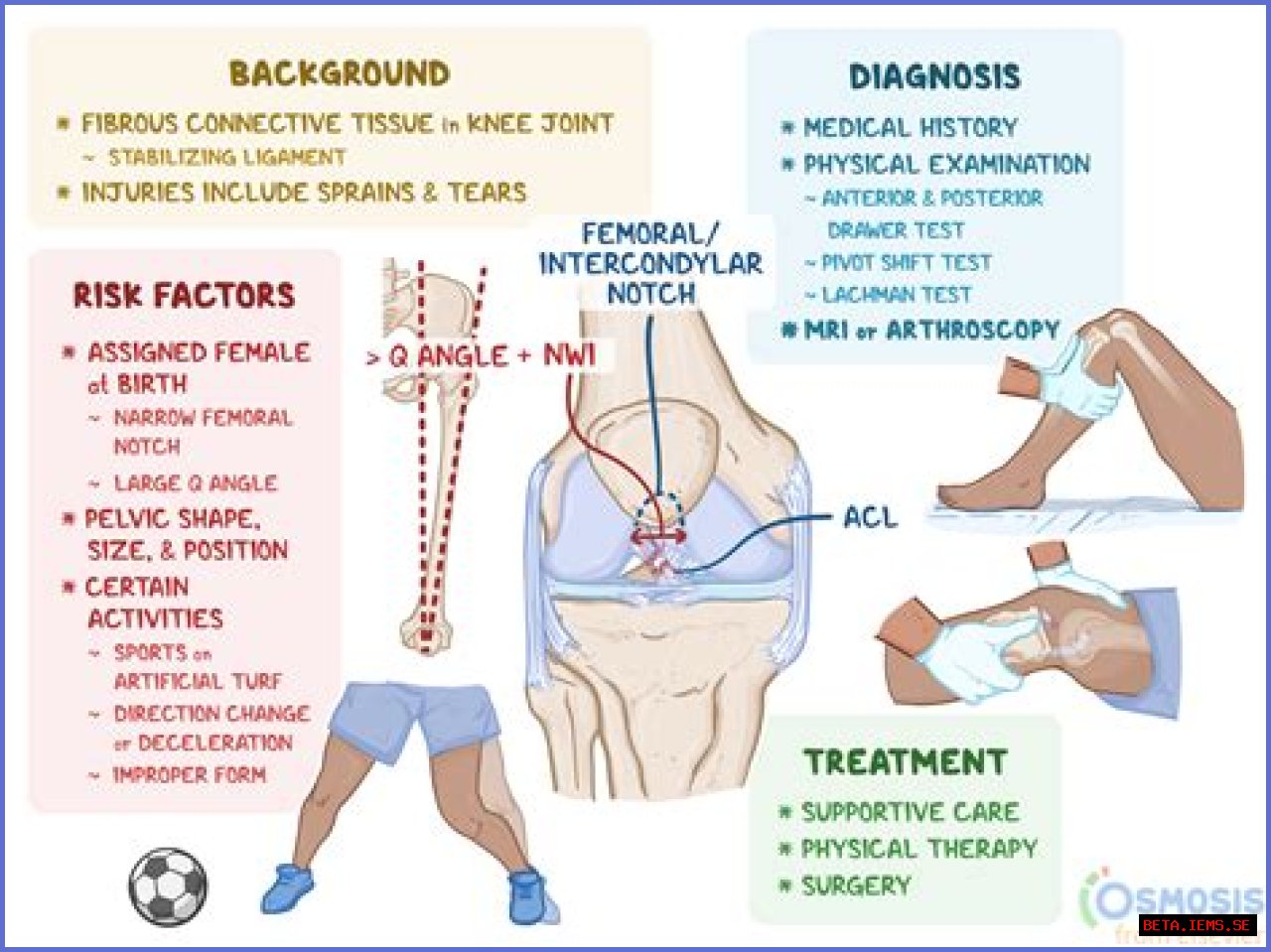 Understanding Fluid Buildup In The Knee: Causes, Symptoms, And Treatment Options
